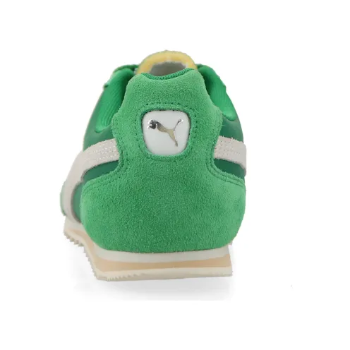 puma-arizona 398682_03