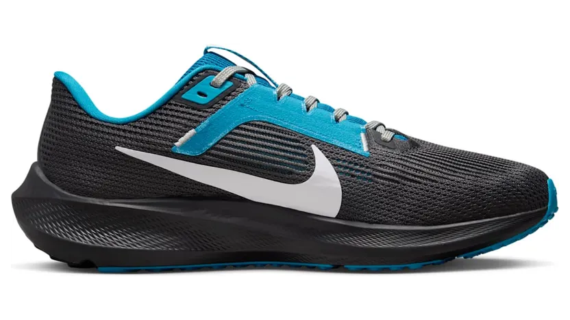 nike-air-pegasus DZ6010-001