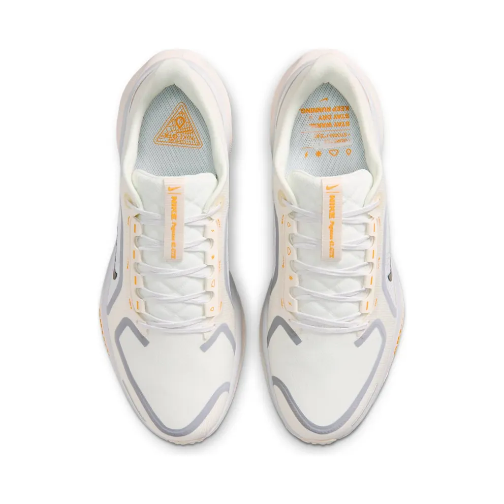 Nike Air Zoom Pegasus 41 Gore-Tex Sail Football Grey Sundial (FQ1356-102)