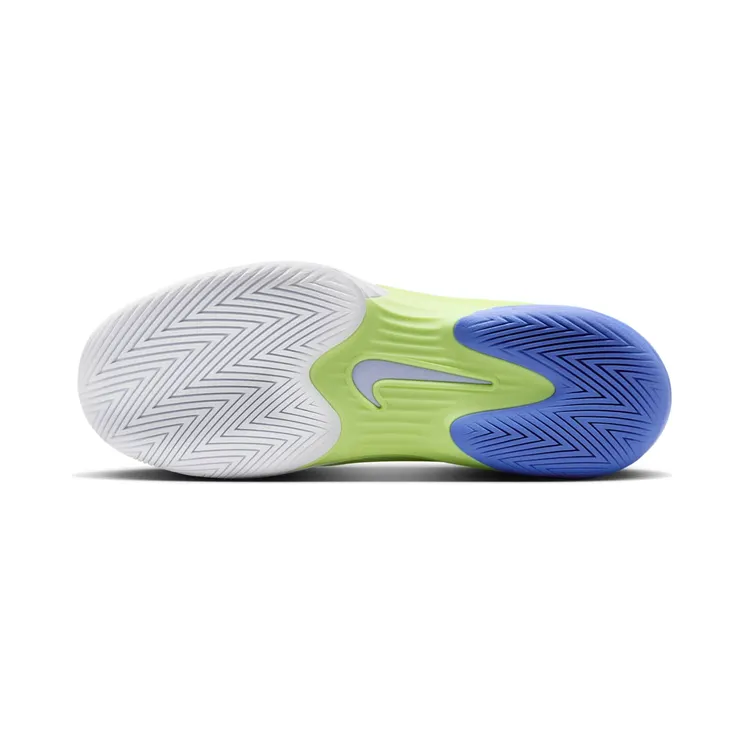 nikecourt FV5554-300