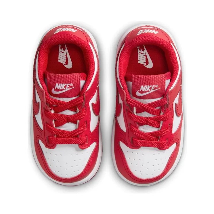 nike-dunk FB9107-119