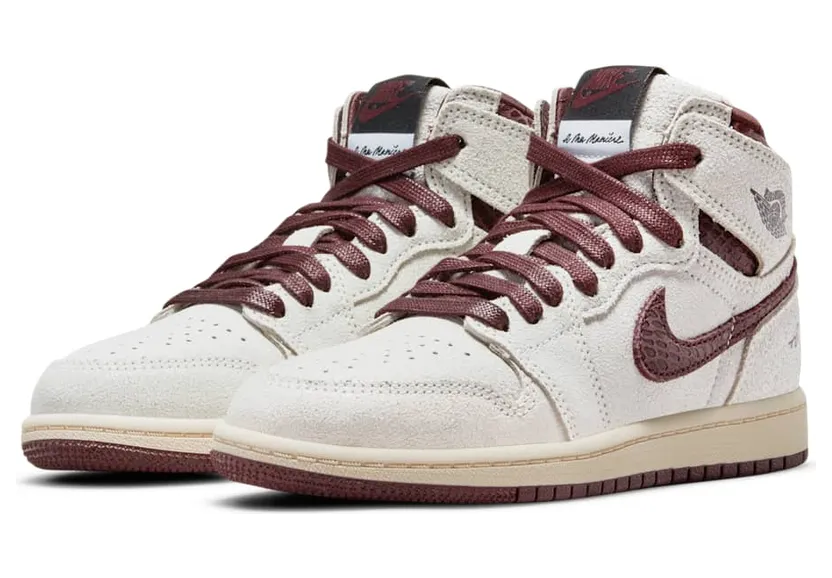 air-jordan-10 DO7099-100