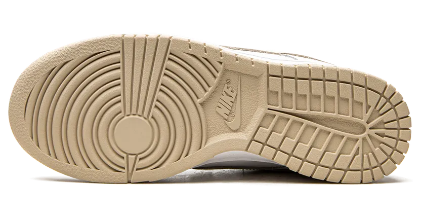nike-dunk DD1503-110
