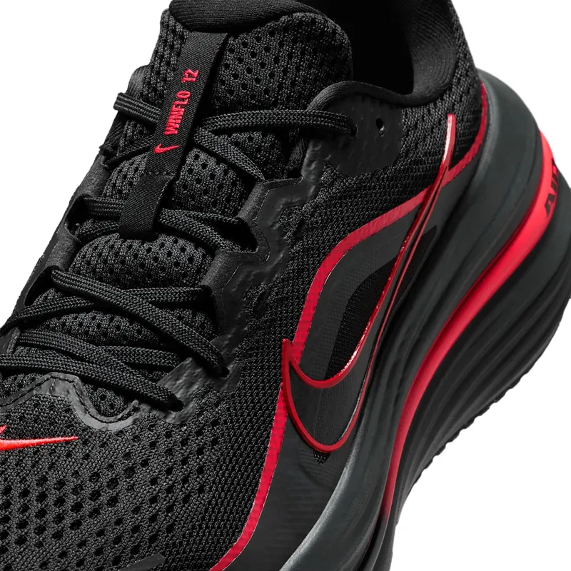Nike Winflo 12 Black (HV9272-005)