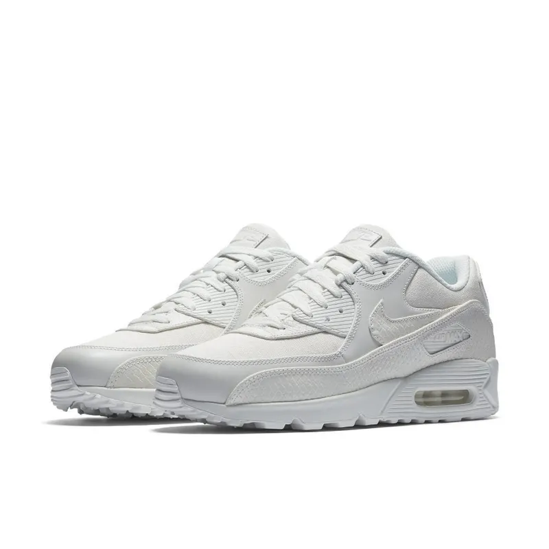 Nike Air Max 90 Summit White (700155-101)