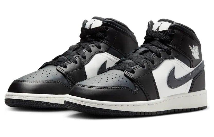 air-jordan-1 DQ8423-010