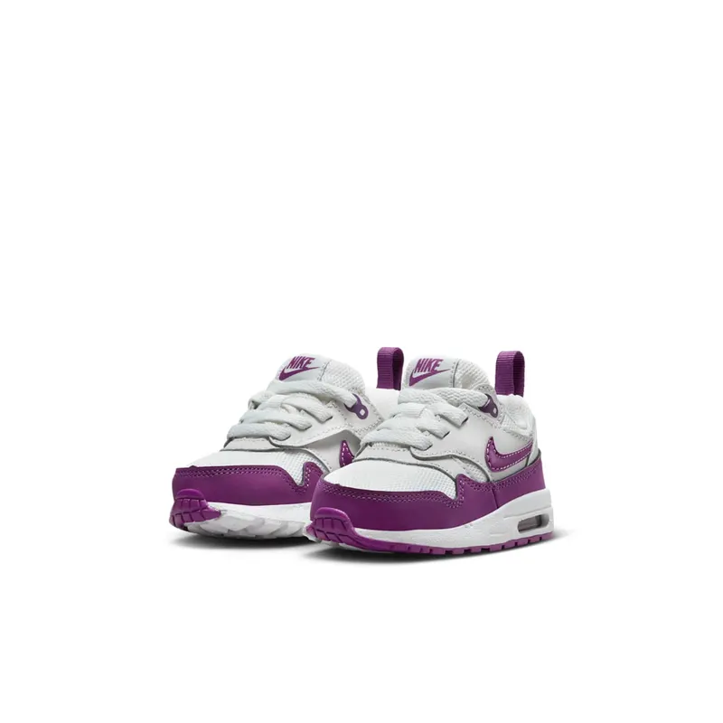 Nike Air Max 1 Summit White/White/Viotech (DZ3309-109)