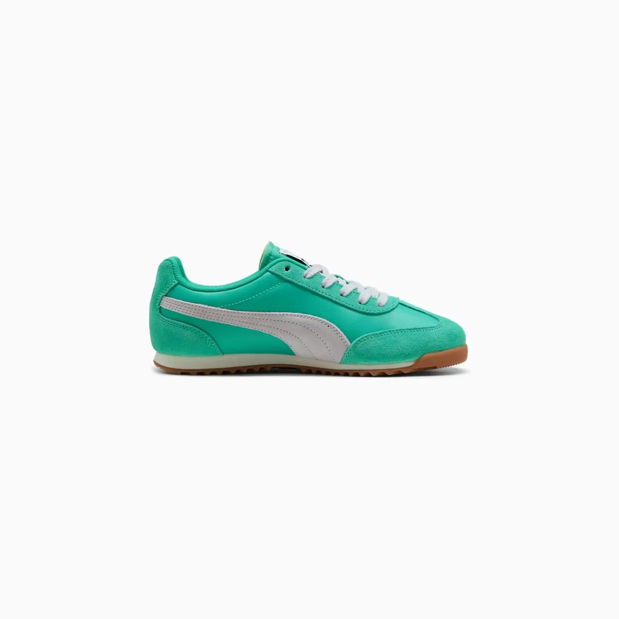puma-arizona 39868230