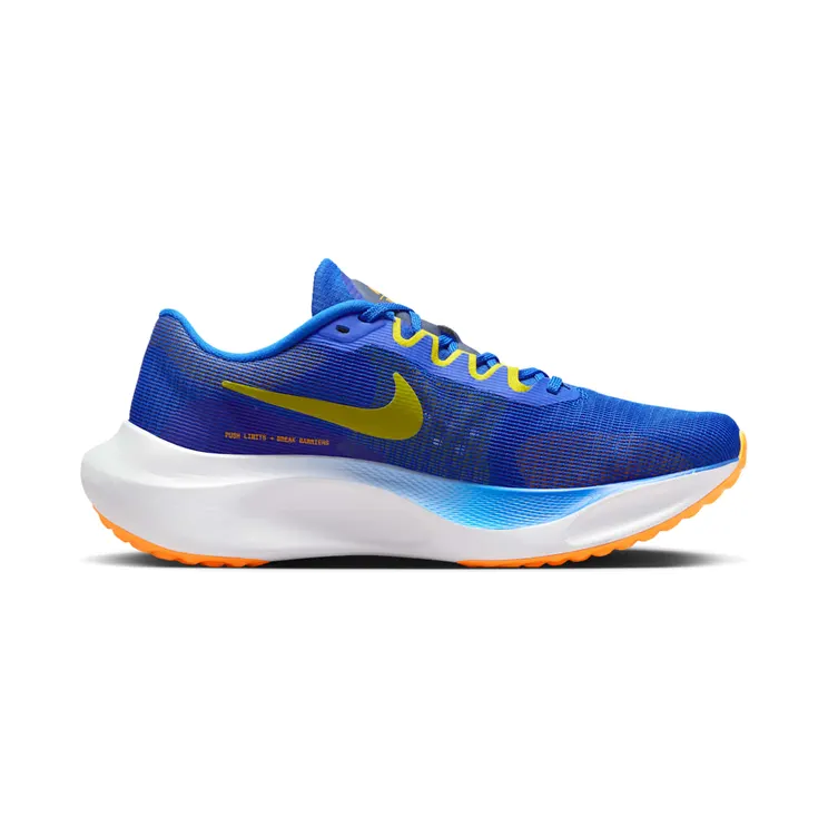nike-zoom DM8968-402