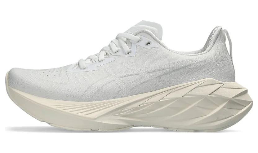 asics-novablast 1012B510.102