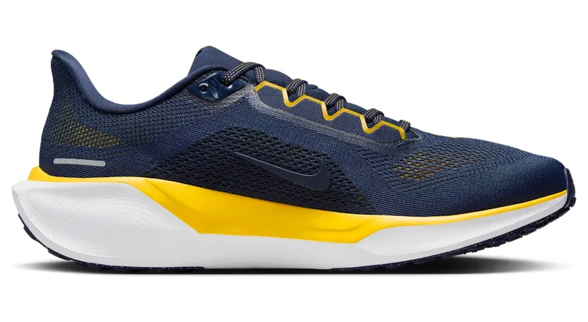 nike-air-zoom FZ5128-400