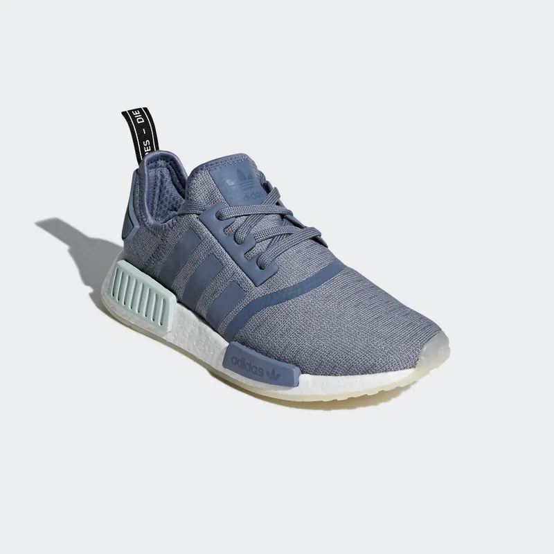 adidas NMD R1 Raw Steel (W) Raw Steel/Raw Steel/Footwear White (CQ2013)