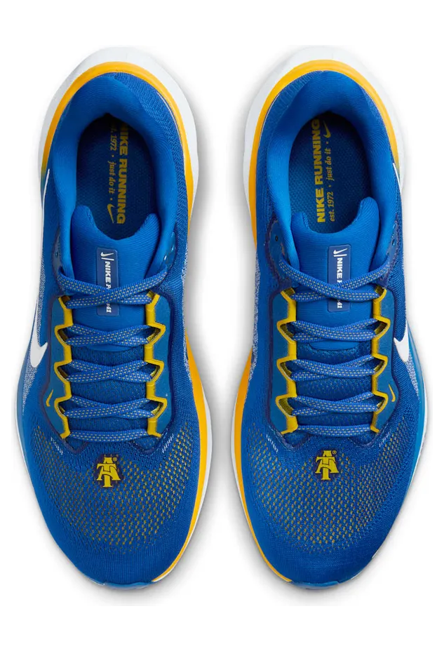 nike-air-zoom FZ5132-400
