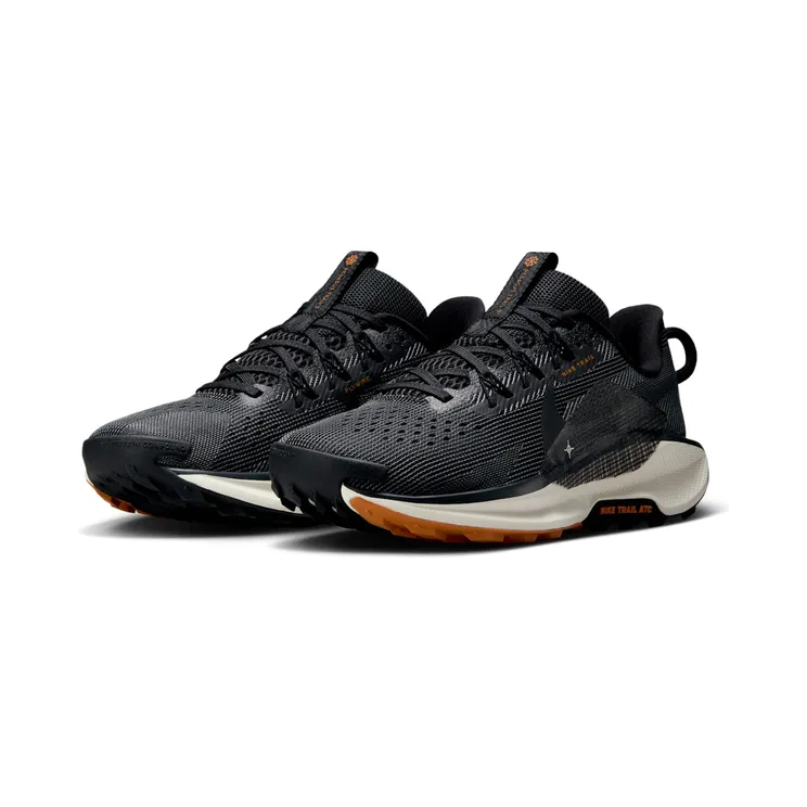 nike-air-pegasus DV3865-006