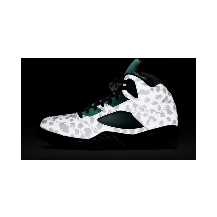 air-jordan-5 CN2932-100