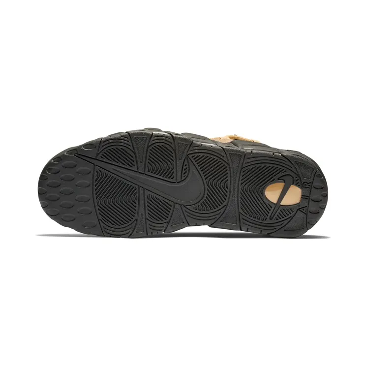 nike-air-more-money AJ2998-700