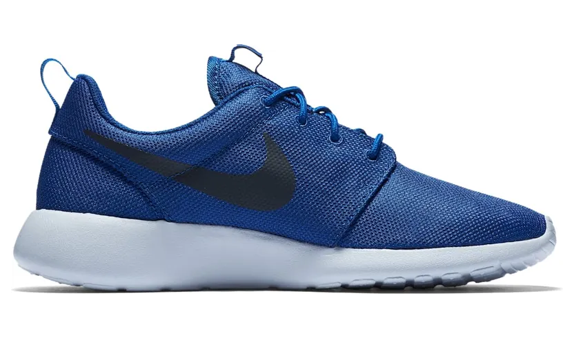 nike-roshe 511881-417