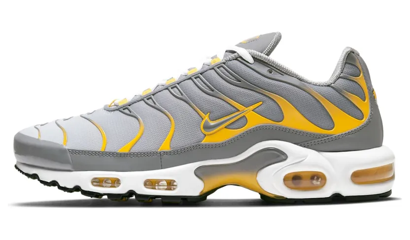 Nike Air Max Plus Grey (DD7111-001)