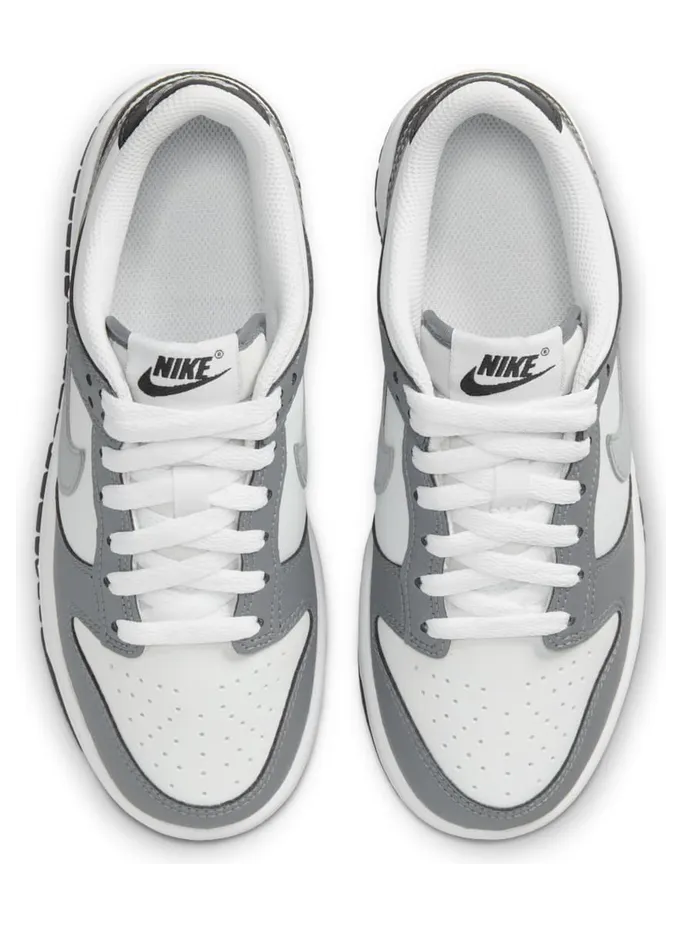 nike-dunk HM9617-001