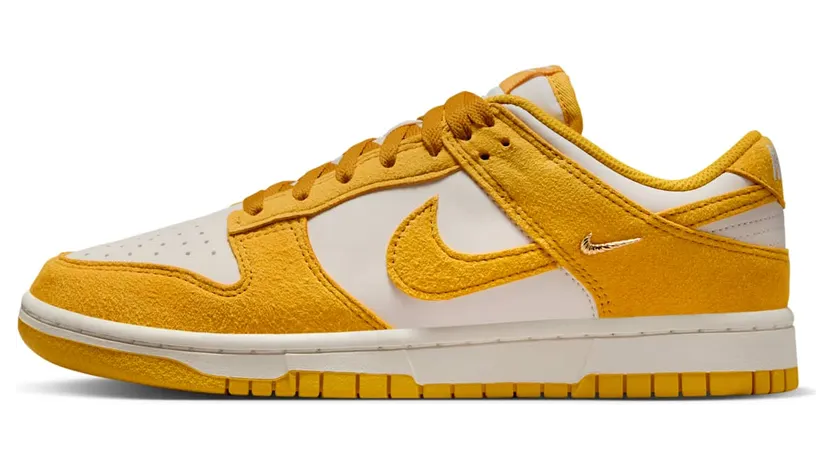 Nike Dunk Low IB4417-101
