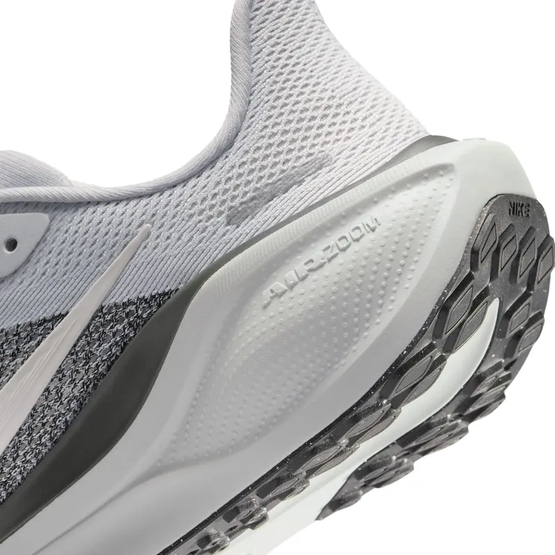 Nike Pegasus Pure Platinum/Anthracite/Light Silver/Sail (FN5041-006)