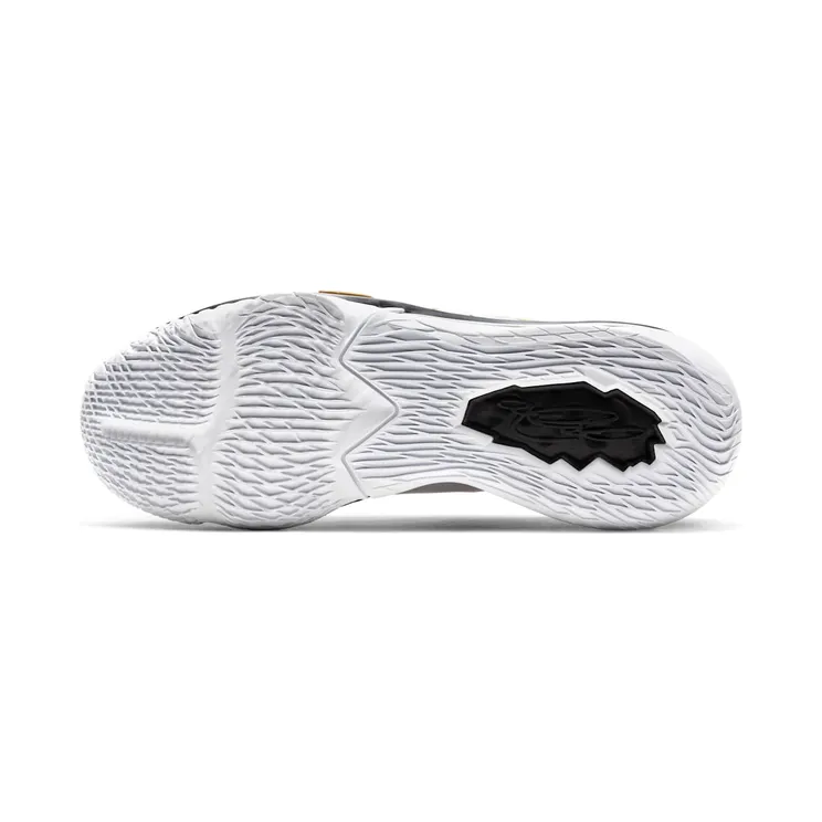 nike-lebron CD5006-101