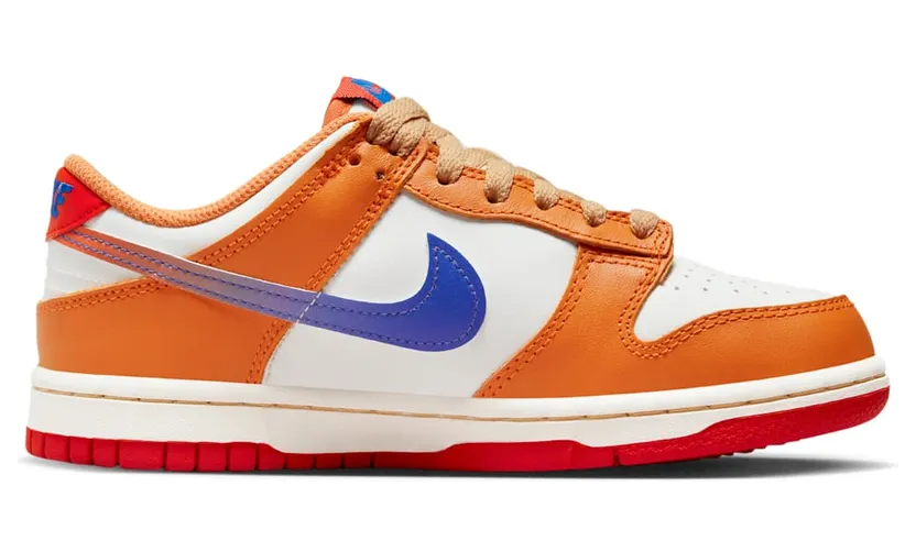 nike-dunk DH9765-101