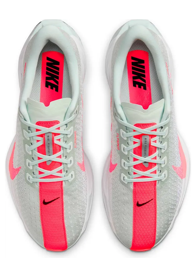 nike-air-pegasus FQ7261-001