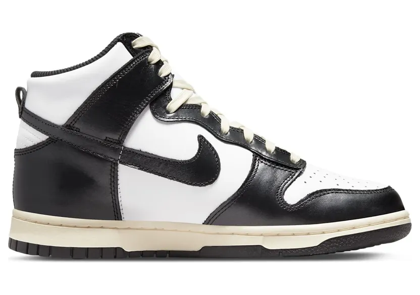 nike-dunk DQ8581-100