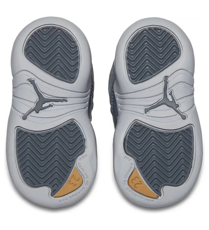 air-jordan-12 850000-005