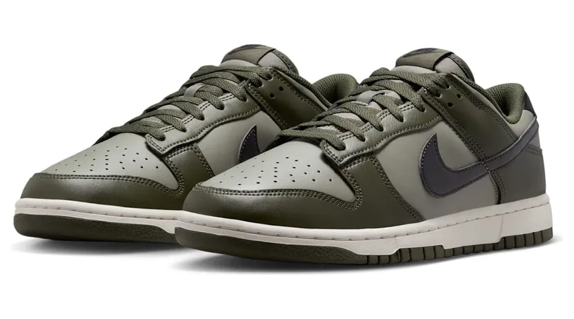 nike-dunk HF5441-300