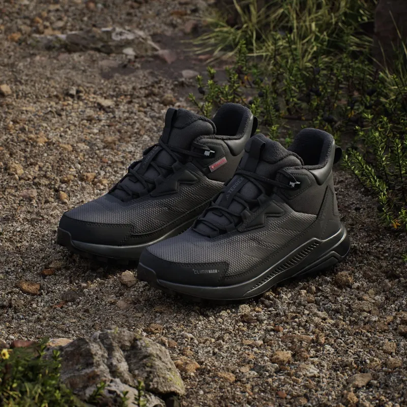Adidas Terrex Anylander CLIMAWARM+ Hiking Shoes Carbon / Core Black / Grey Six (JH8777)