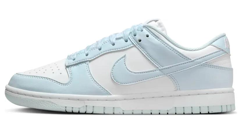 Nike Dunk Low IB7311-100