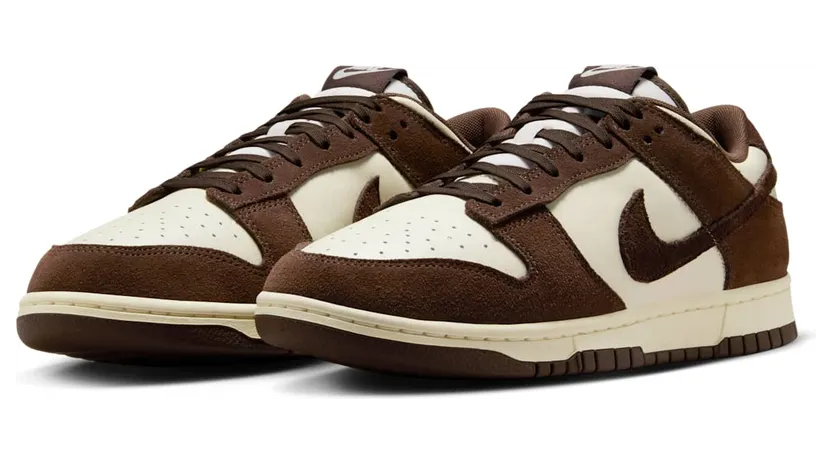 nike-dunk FQ8249-104