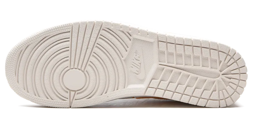 air-jordan-1 DJ2756-102