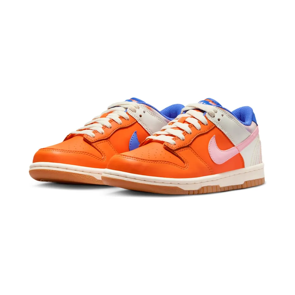 Nike Dunk Low GS “Everything You Need” (FN0600-801)