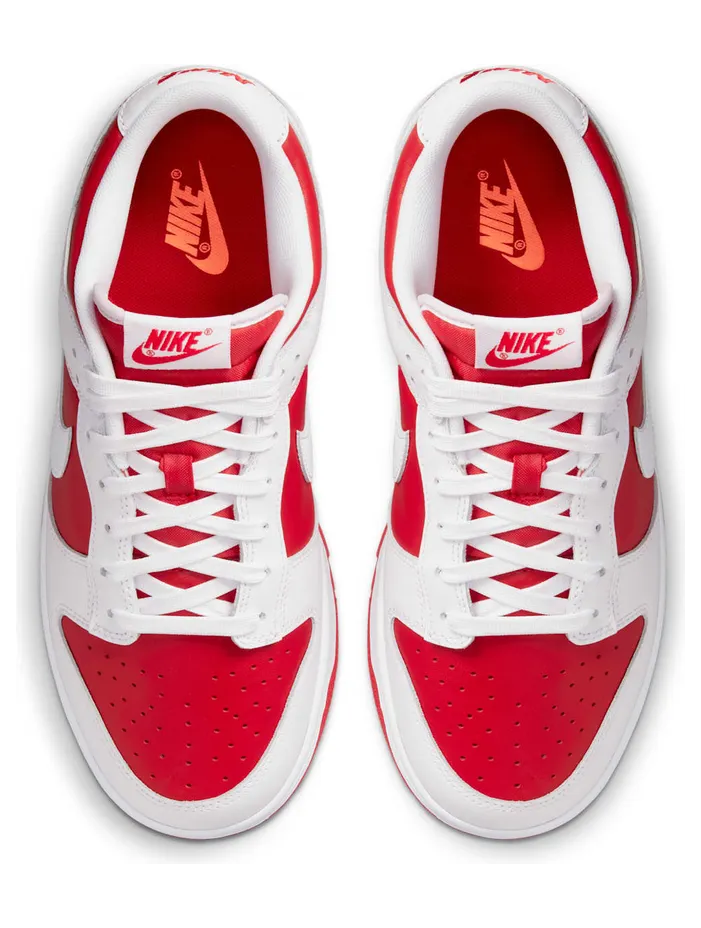 nike-dunk DD1391-600