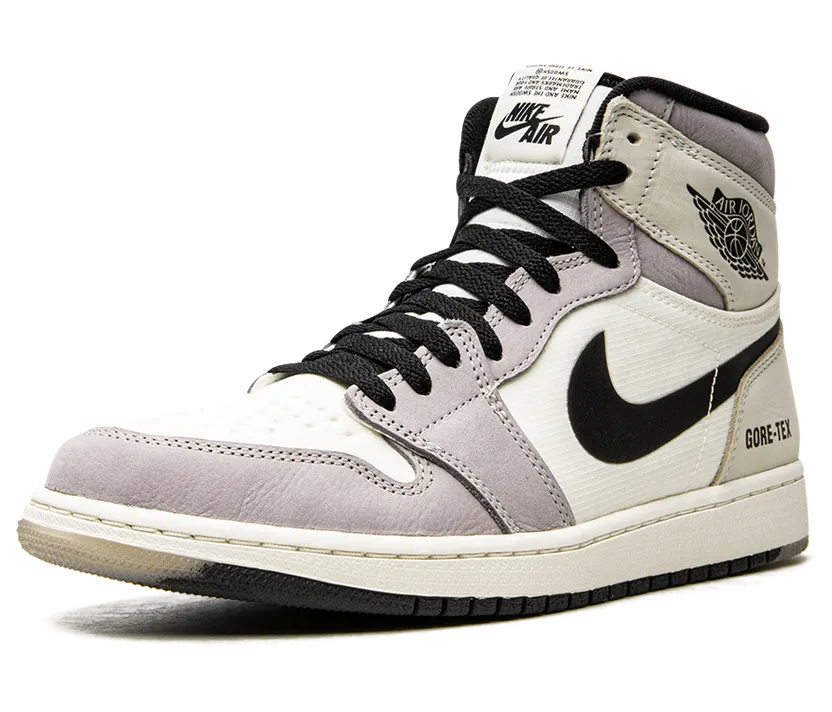 air-jordan-1 DB2889-100