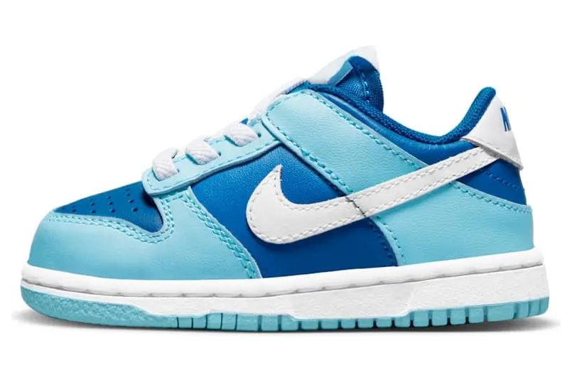 Nike Dunk Low DV2634-400
