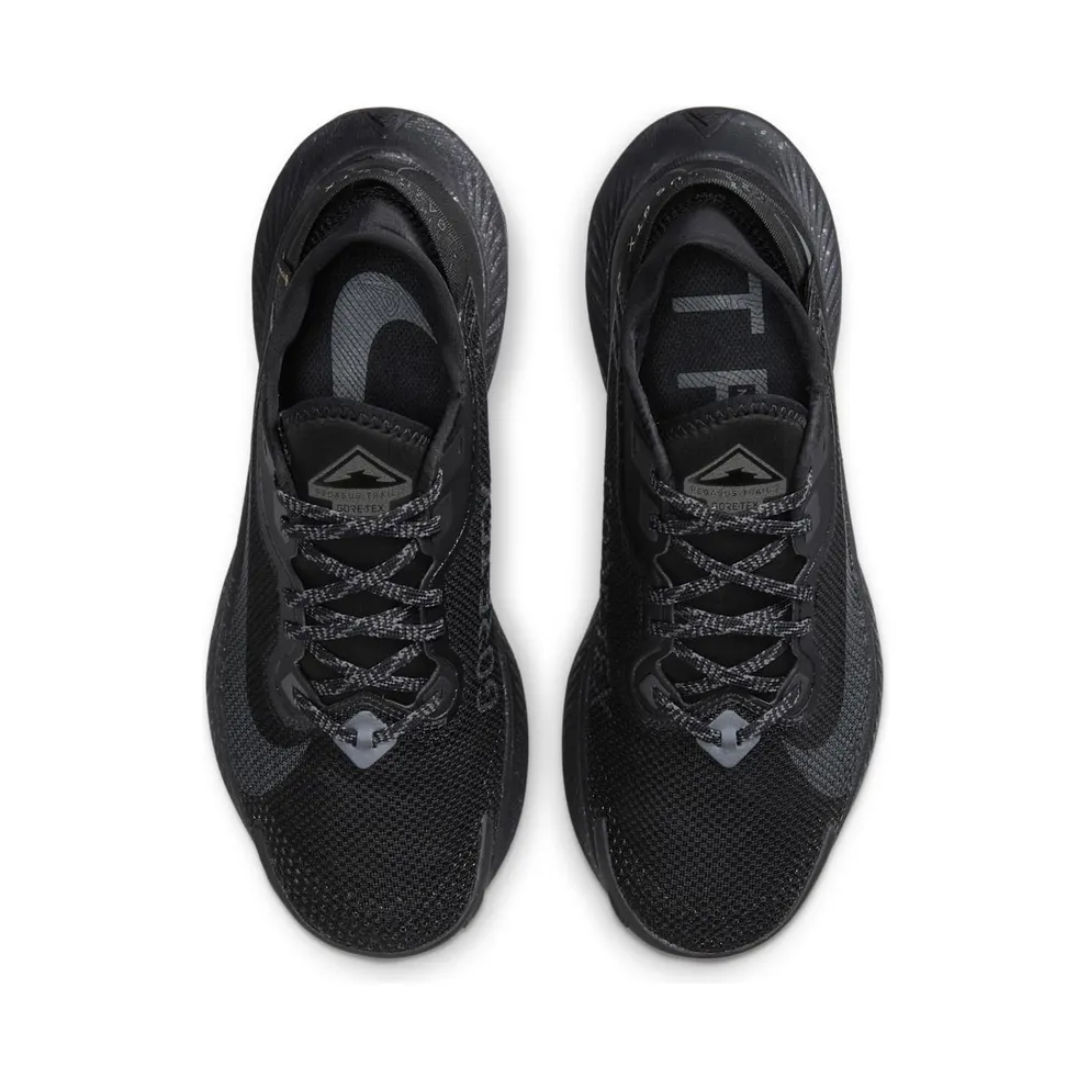 Nike Pegasus Trail 2 GORE-TEX Trail Running Black (CU2018-001)