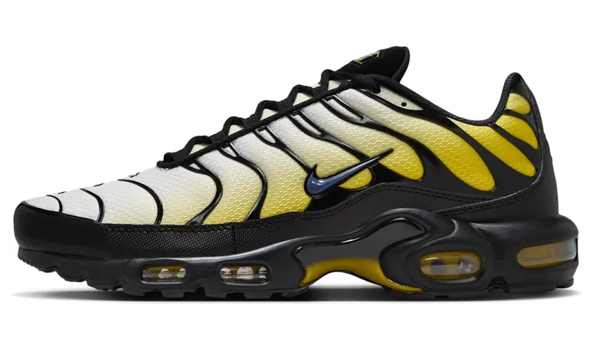 Nike Air Max Plus Black (DM0032-023)