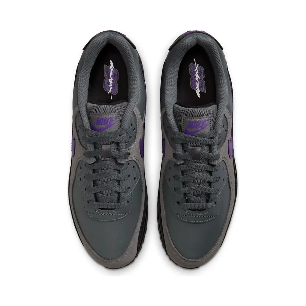 Nike Air Max 90 Iron Grey Wild Grape (IF0670-004)