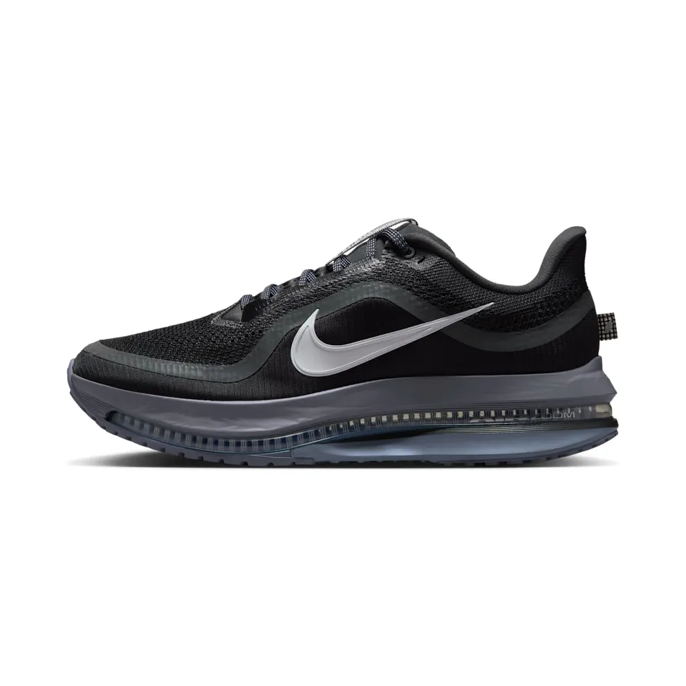 Nike Pegasus Premium “Anthracite” (HQ2592-006)