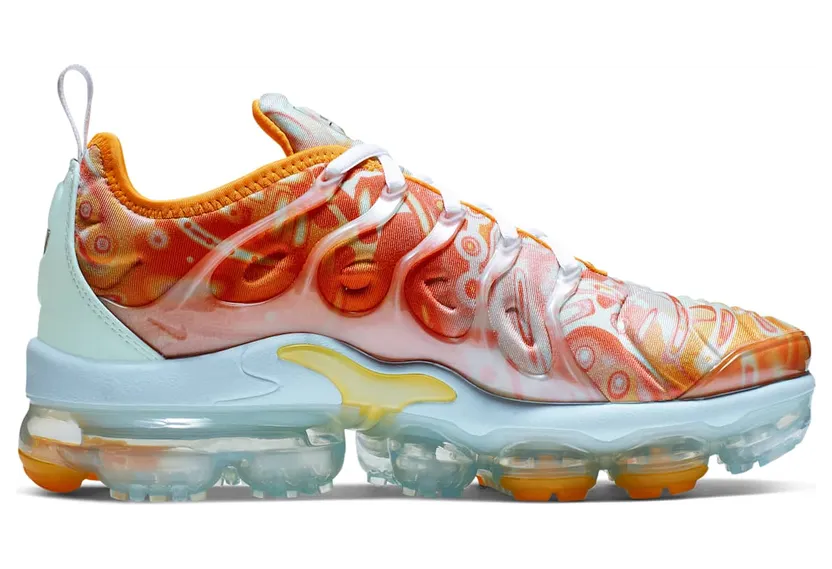 nike-air-vapormax CD7009-300