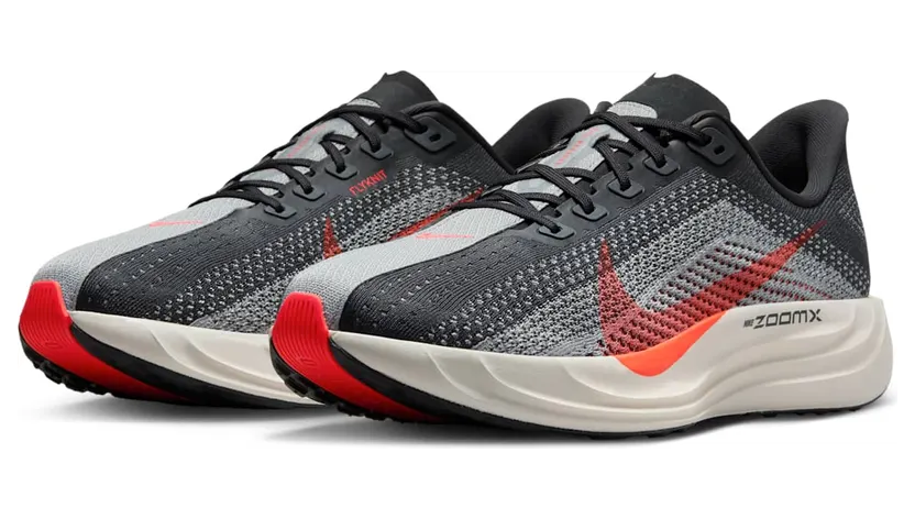nike-air-pegasus FQ7262-007