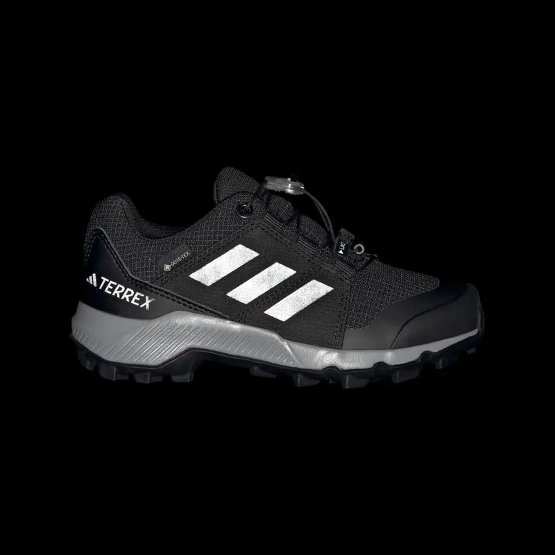 Adidas Terrex GORE-TEX Hiking Core Black / Grey Three / Core Black (IH5511)