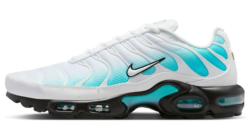 Nike Air Max Plus Dusty Cactus/Black/White (IU7539-345)