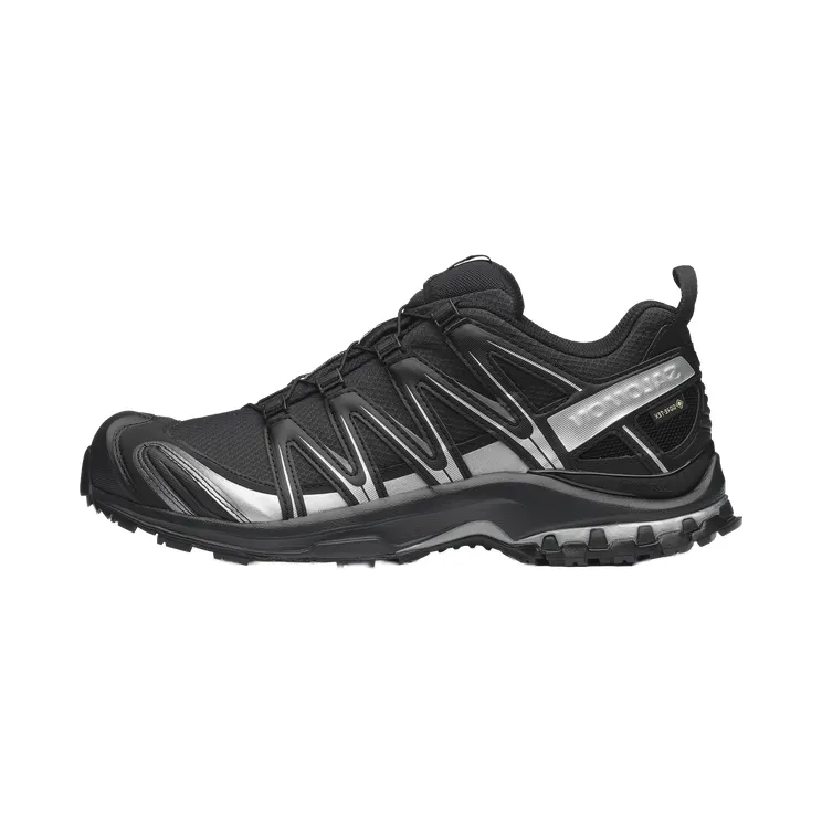 Salomon XA Pro 3D Gore-Tex “Black Silver” (L49214-300)