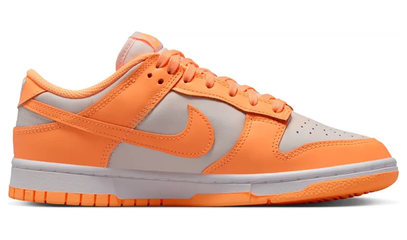 nike-dunk DD1503-801