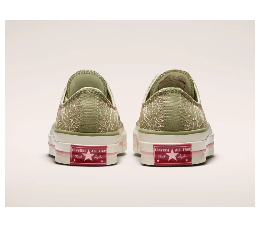 converse-chuck-taylor-all-star A00845C